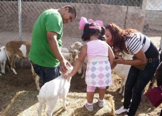Conectando con los animales